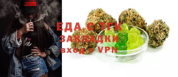 хмурый Алексин