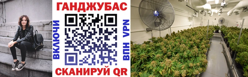 Бошки марихуана семена  Бронницы 